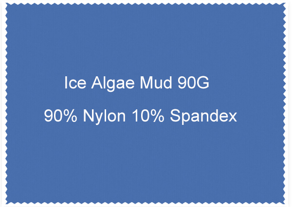 Ice algae mud 90G