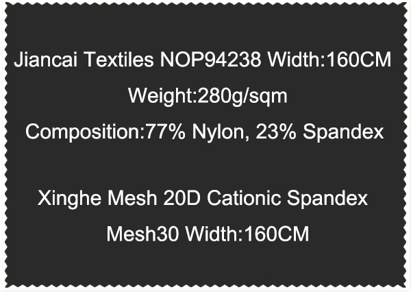 Xinghe Mesh 20D Cationic Spandex Mesh30 Width 160CM-3
