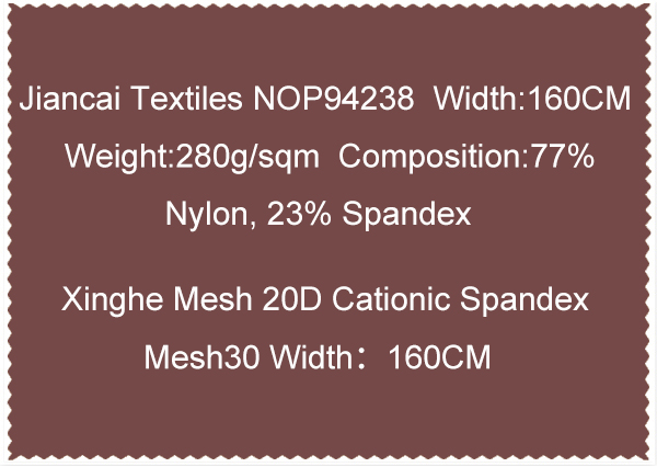 Xinghe Mesh 20D Cationic Spandex Mesh30 Width 160CM-5