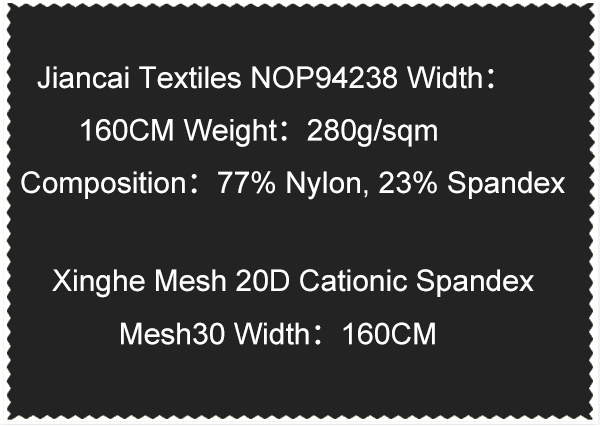 Xinghe Mesh 20D Cationic Spandex